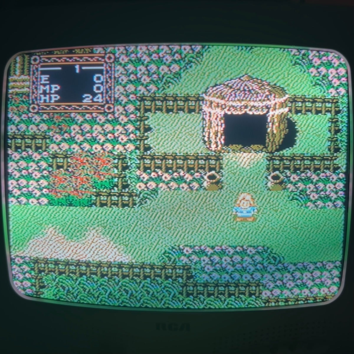 WILLOW NES Authentic Nintendo Cart Cleaned & Tested
